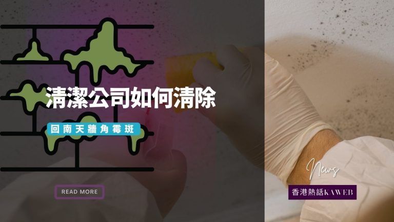 清潔公司如何清理霉斑